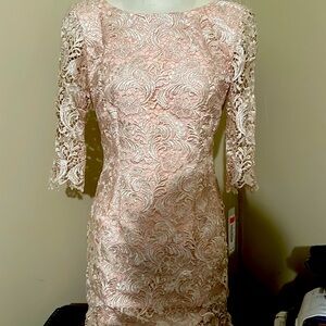 Eliza J Lace Dress elbow Sleeve Blush Pink/ cream Size 4 nwt
